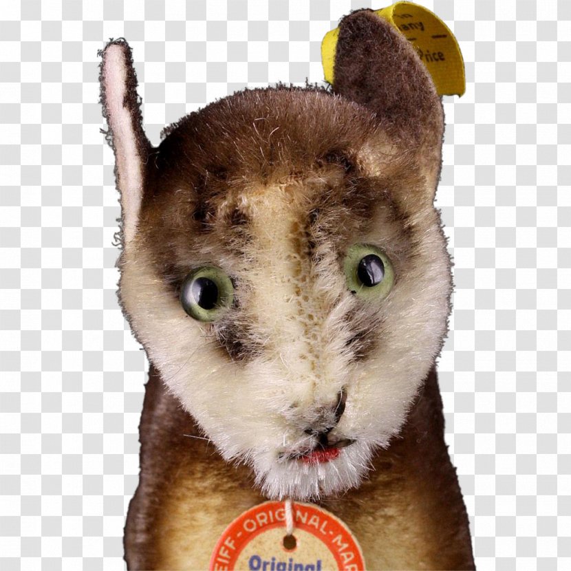 Whiskers Cat Fur Fauna Snout - Marsupial Transparent PNG
