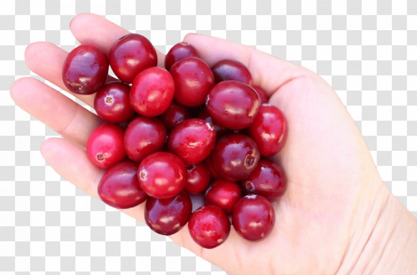 Cranberry Fruit Cherry - Pink Peppercorn Transparent PNG