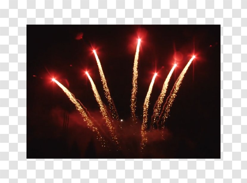 Fireworks Explosive Material Explosion Transparent PNG