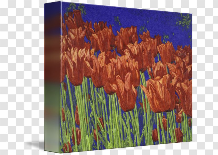 Flower Art Tulip - Grass Transparent PNG