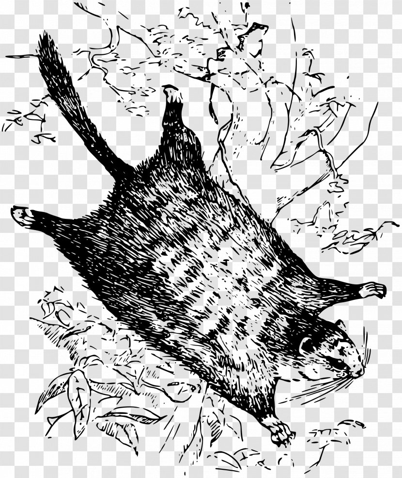 Japanese Dwarf Flying Squirrel Clip Art - Vertebrate Transparent PNG