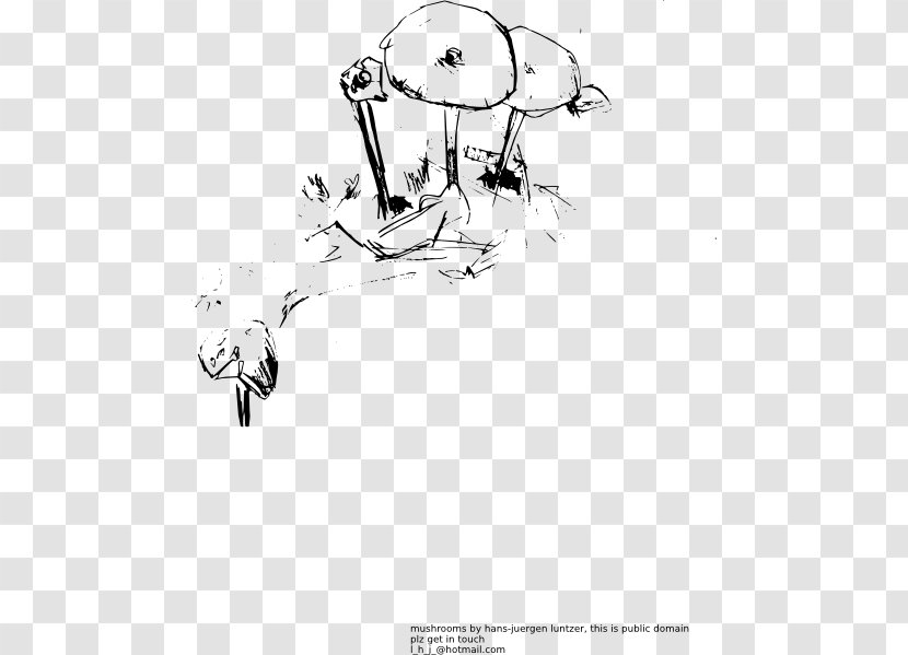 Drawing Clip Art - Frame - Mushroom Vector Transparent PNG