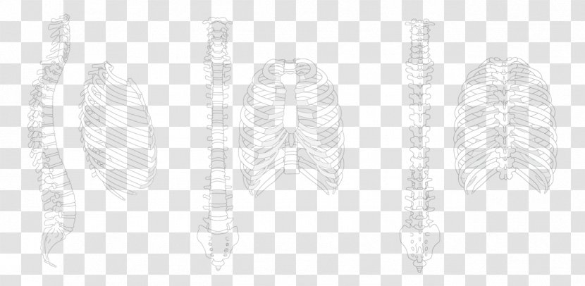 University Of Johannesburg White - Tree - Rib Cage Transparent PNG