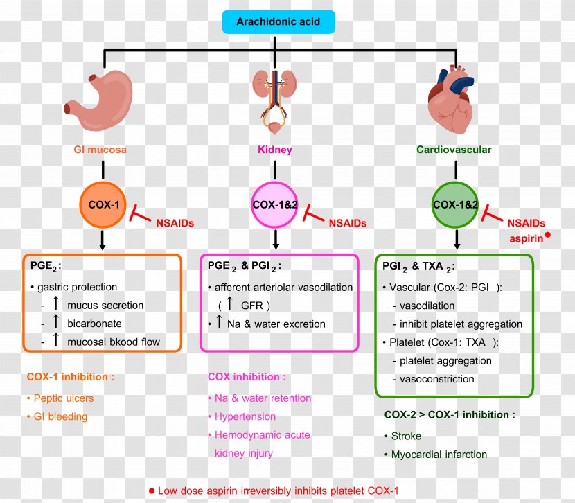 Cyclooxygenase PTGS1 COX-2 Inhibitor Prostaglandin-endoperoxide Synthase 2 Nonsteroidal Anti-inflammatory Drug - Prostaglandinendoperoxide - Area Transparent PNG