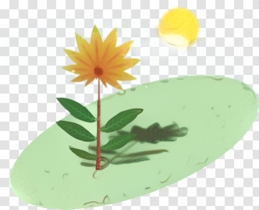 Drawing Of Family - Plant - Water Lily Perennial Transparent PNG