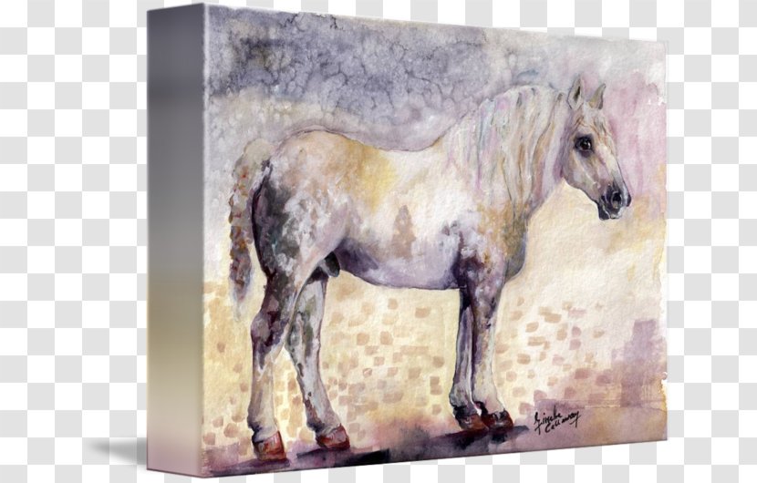 Mustang Stallion Mare Pony Pack Animal - Watercolor Horse Transparent PNG