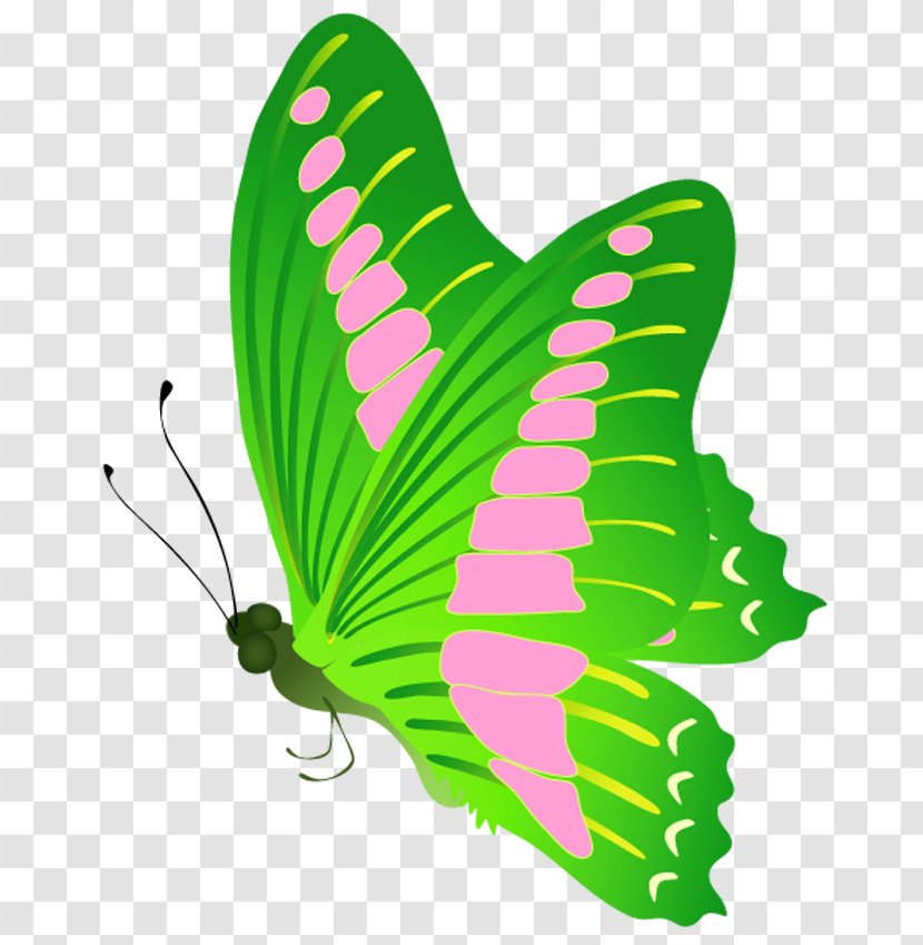 Monarch Butterfly Insect Brush-footed Butterflies Clip Art - Moths And Transparent PNG