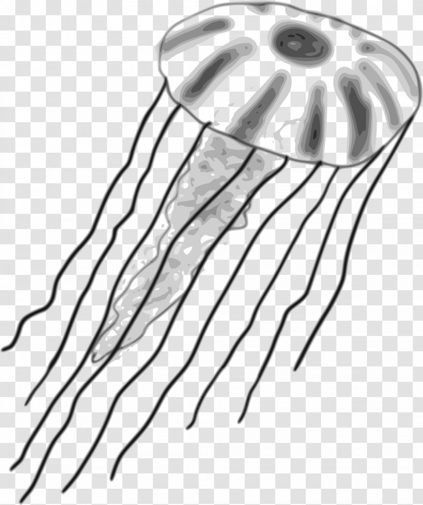 Lion's Mane Jellyfish Clip Art - Tree - Silhouette Transparent PNG