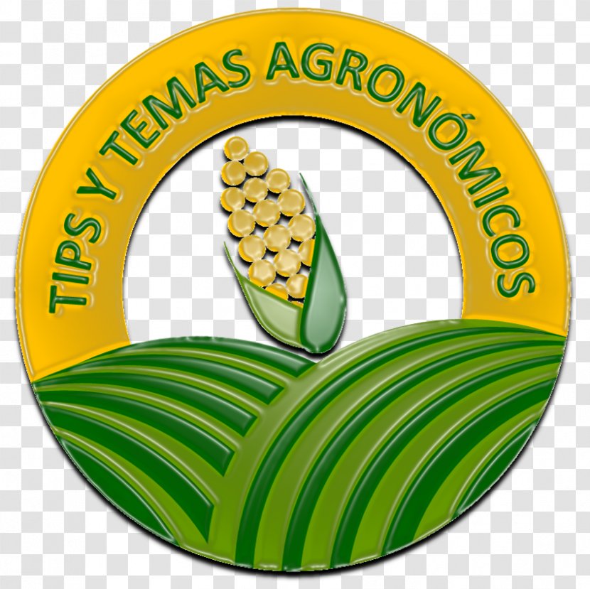 Agriculture Agronomy Agribusiness Farm - Share - Maiz Transparent PNG