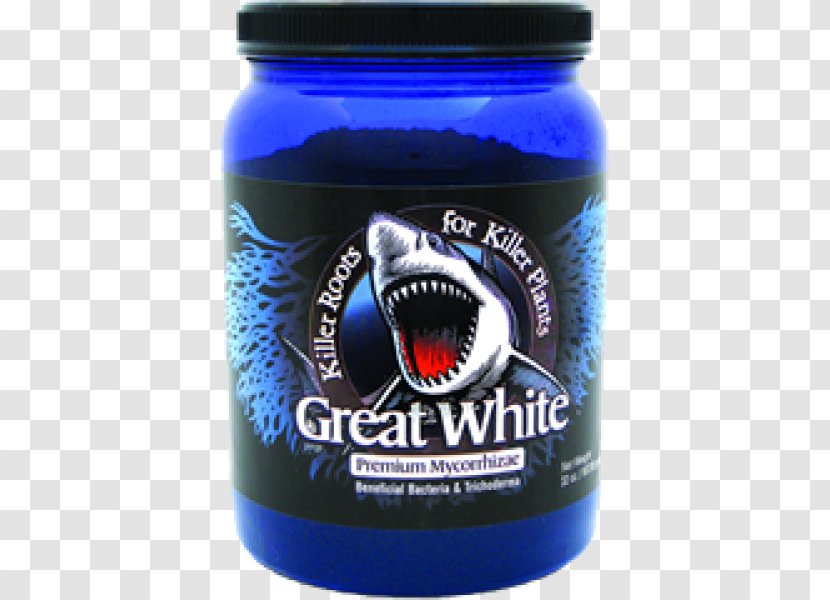 Great White Shark Mycorrhiza Root Plants - Bacteria Growth Transparent PNG