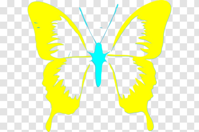 Nymphalidae Butterfly Memphis City Beautiful Commission Clip Art - Tartan - Artwork Flowers Border Transparent PNG
