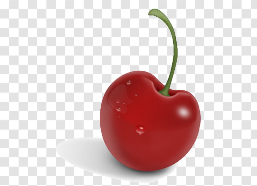 Cherry Download Clip Art - Watercolor - Free Pull Material Transparent PNG