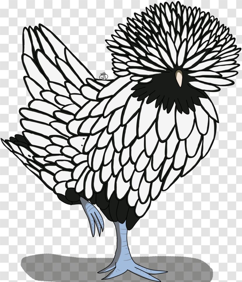 Polish Chicken Drawing Line Art Clip - Leaf - Sketch Transparent PNG