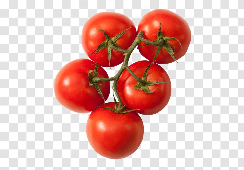 Plum Tomato Bush Organic Food Vegetable Roma - Natural Foods Transparent PNG