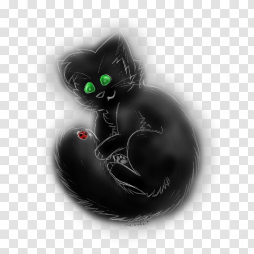 Black Cat DeviantArt Whiskers - Organism - Ladybug Y Chat Noir Transparent PNG