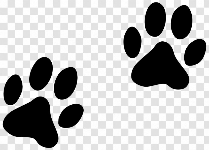 Paw Dog Cat Pet - Footprint Transparent PNG