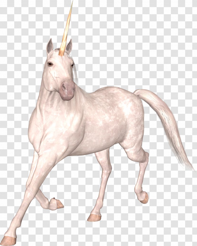 Unicorn Horse Clip Art - Snout Transparent PNG