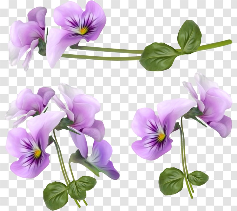 Flower Violet Clip Art - Purple Orchid Decorative Frame Transparent PNG