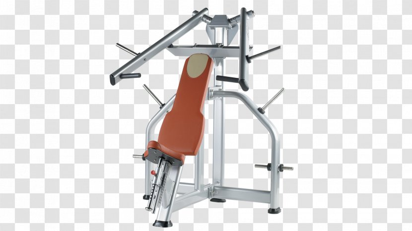 Bench Press Overhead Fitness Centre Physical Exercise - BENCHES Transparent PNG