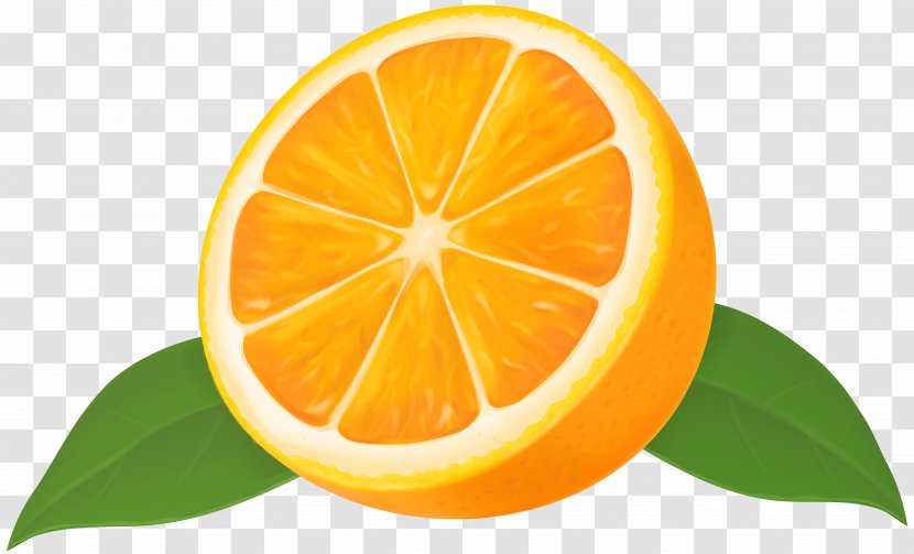 Lemon Mandarin Orange Grapefruit Lime - Food - Half Transparent PNG
