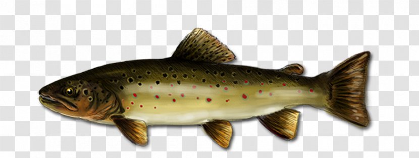 Salmon Cutthroat Trout Fish Products 09777 - Bony - Brown Transparent PNG
