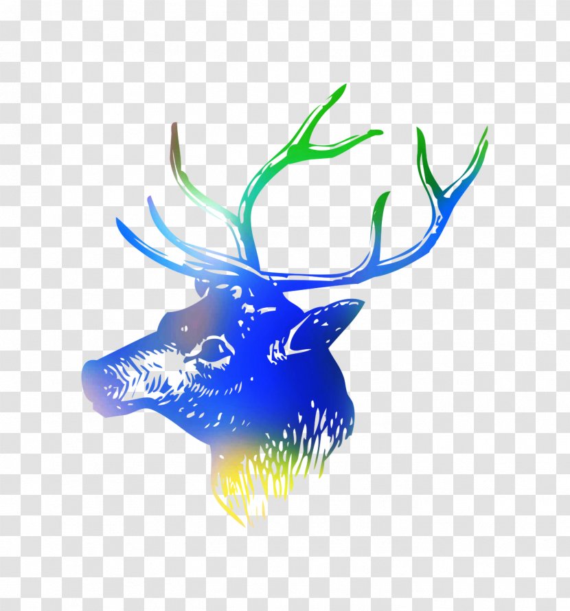 Deer Antler - Organism - Reindeer Transparent PNG