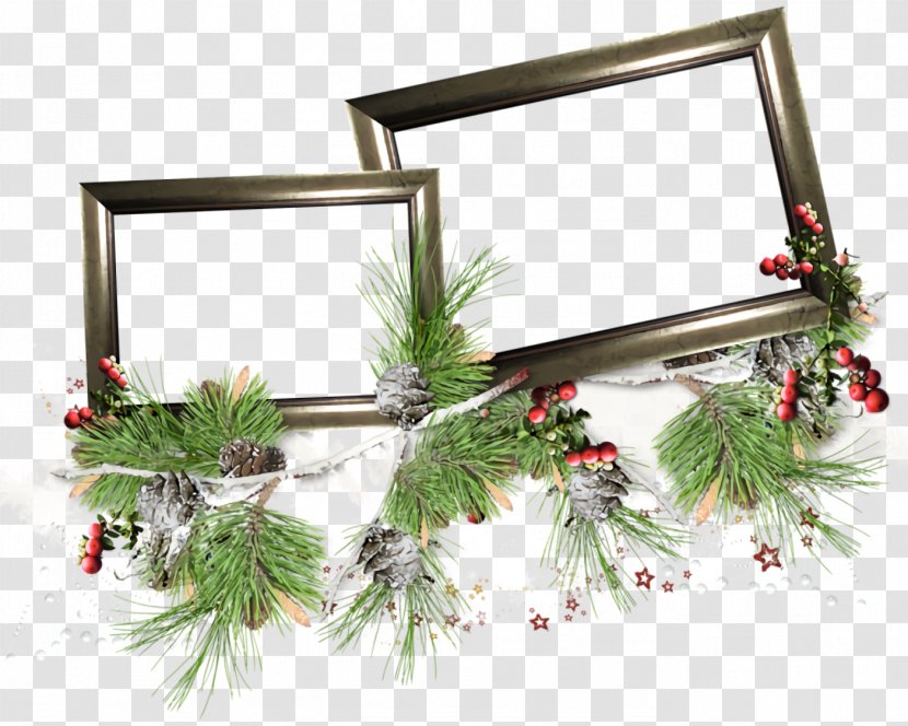 Christmas Frame Border Decor - Pine - Picture Twig Transparent PNG