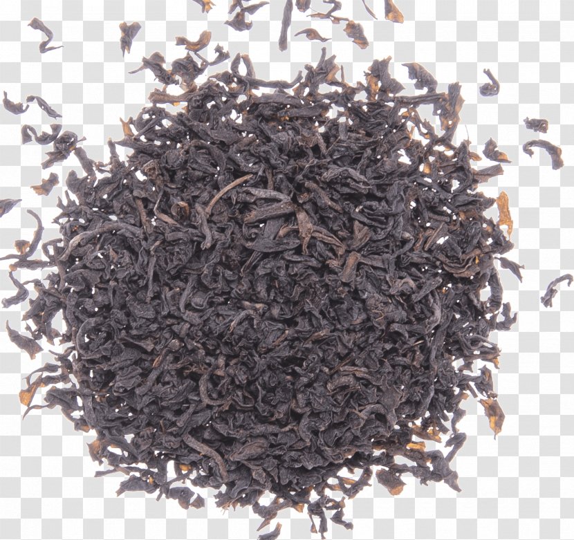 Organic Food Compost City: Practical Composting Know-How For Small-Space Living Sewage Sludge - Oolong Tea Transparent PNG