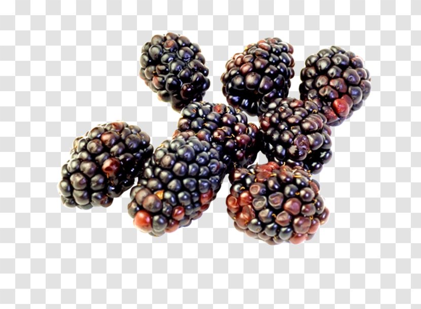 Boysenberry Cheesecake Raspberry Blackberry - Berry Transparent PNG