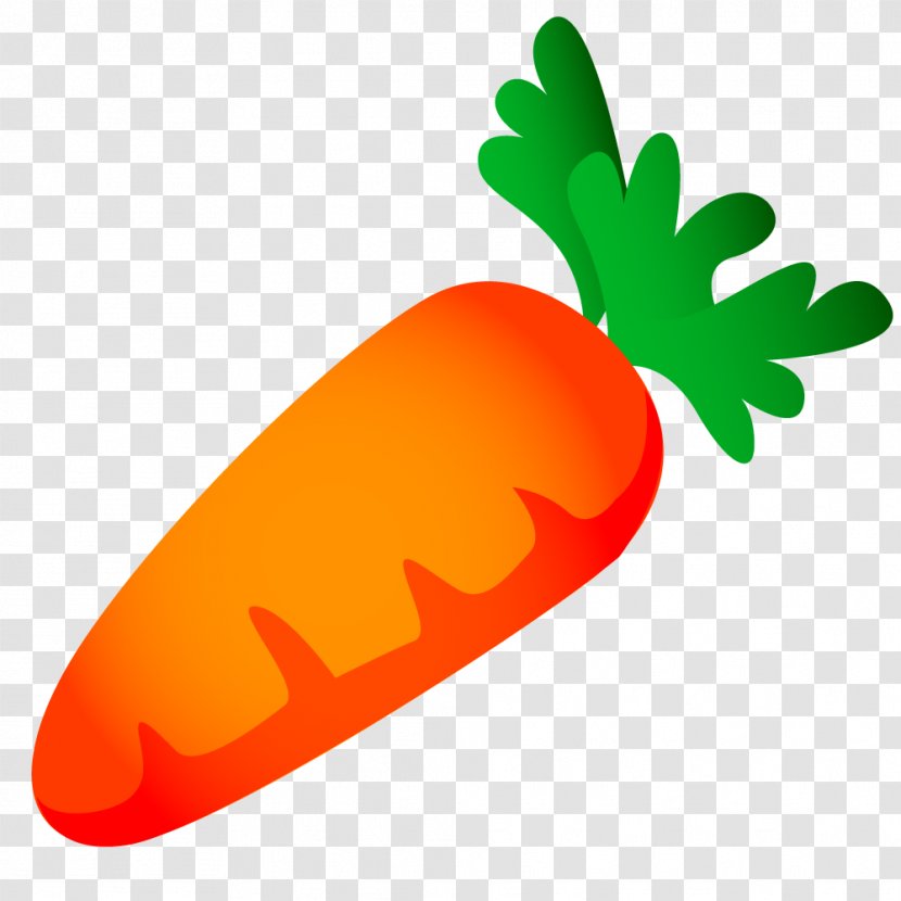 Carrot Vegetable Food Ingredient - Mature Carrots Transparent PNG