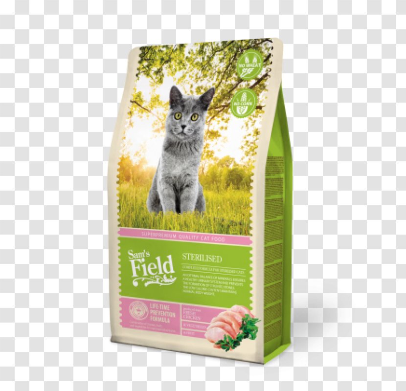 Kitten Cat Food Les Chatons Torrfoder - Hypoallergenic Transparent PNG