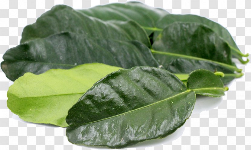 Green Leaf Background - Plant - Cabbage Komatsuna Transparent PNG