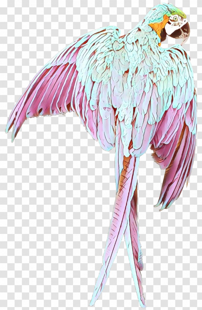Feather - Pink - Budgie Parakeet Transparent PNG