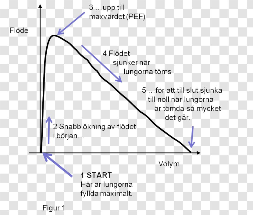 Respimat Spirometry Flux Curve Peak Expiratory Flow - Mig 21 Transparent PNG