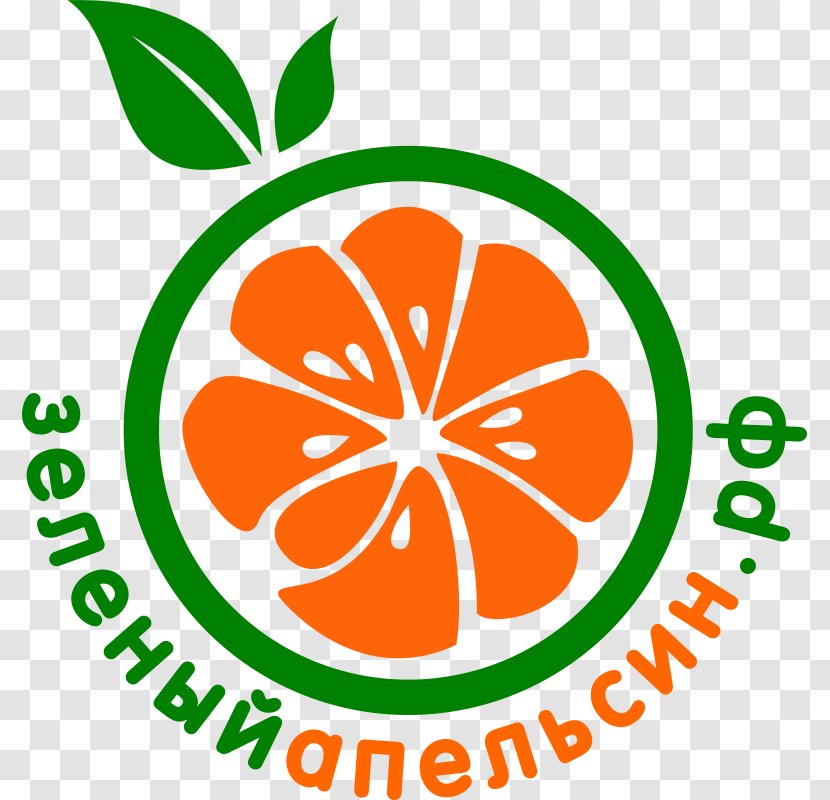 Orange Vector Graphics Stock Photography Illustration Clip Art - Vegetable Transparent PNG