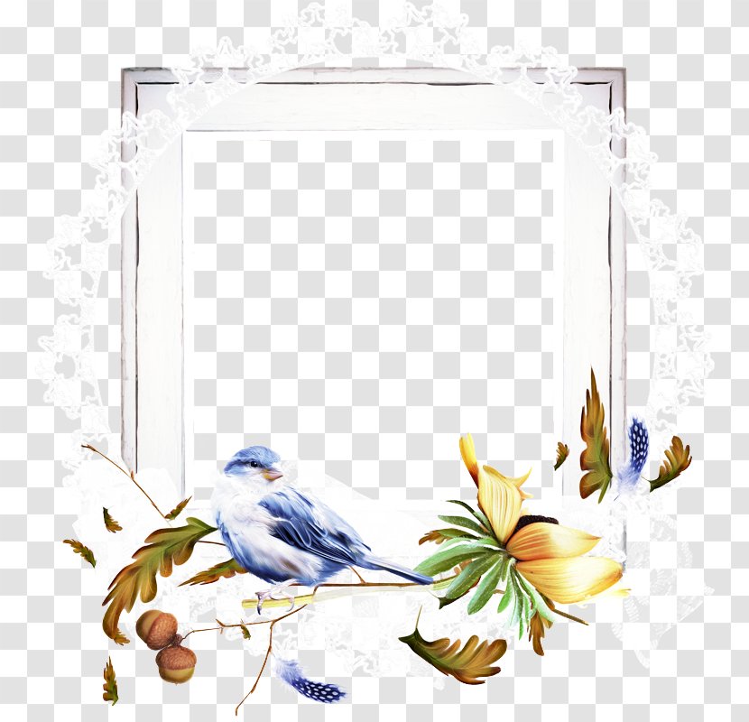 Hummingbird - Nest - Picture Frame Plant Transparent PNG
