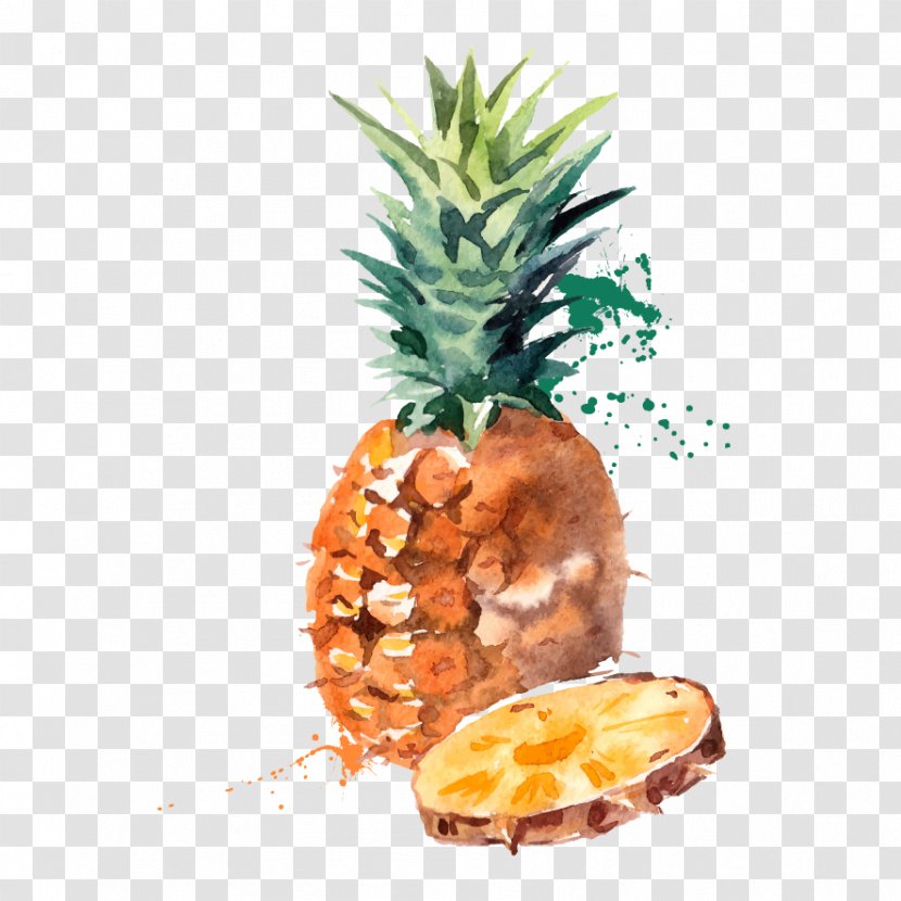Eating Pineapple Fruit Seasonal Food - Radish - Vector Hand-painted Watercolor Transparent PNG