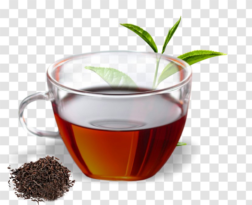 Hōjicha Assam Tea Oolong Green - Herbal Transparent PNG
