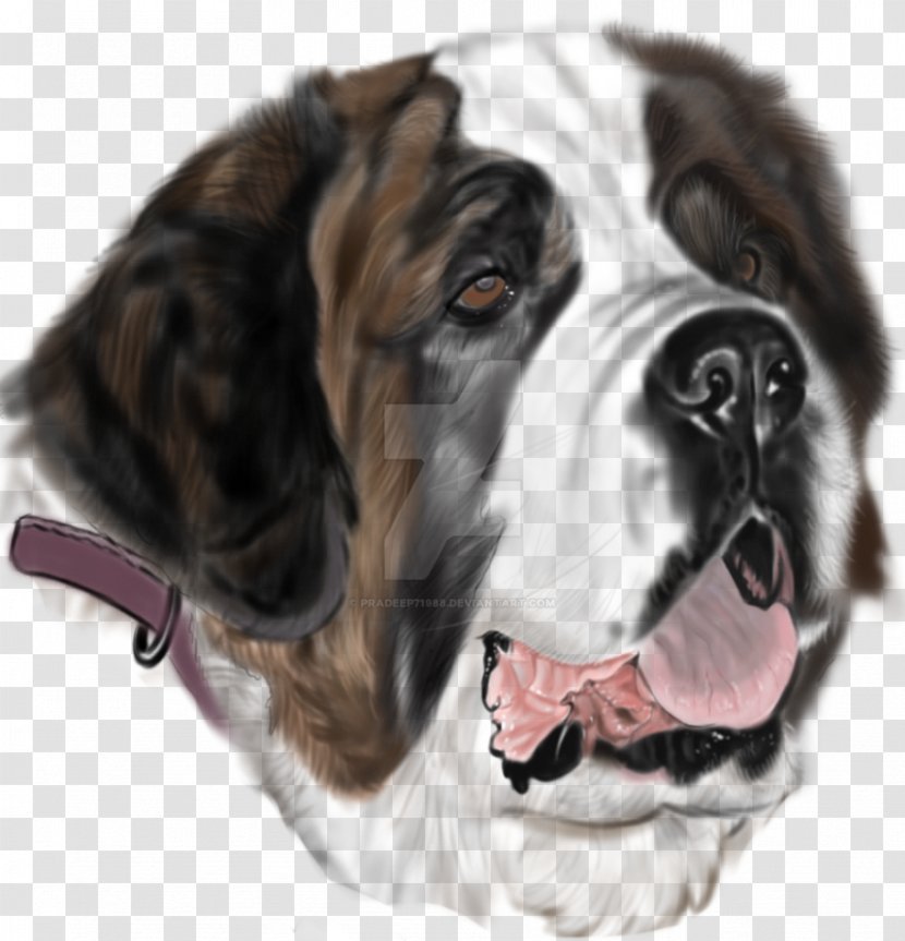 St. Bernard Dog Breed Drawing Tattoo Search And Rescue - Fur - Louis Agassiz Fuertes Transparent PNG