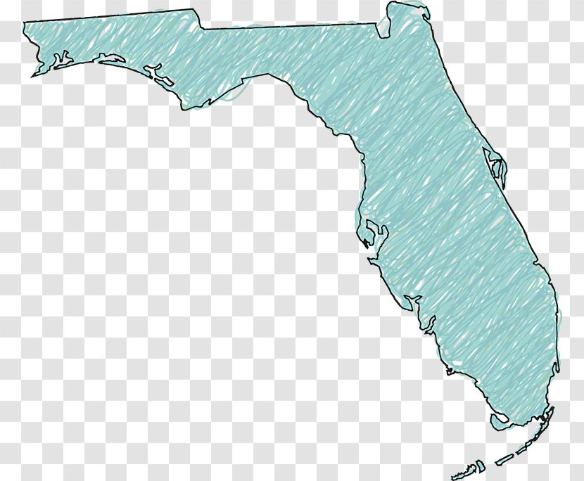 Florida Clip Art - Area - United States Transparent PNG