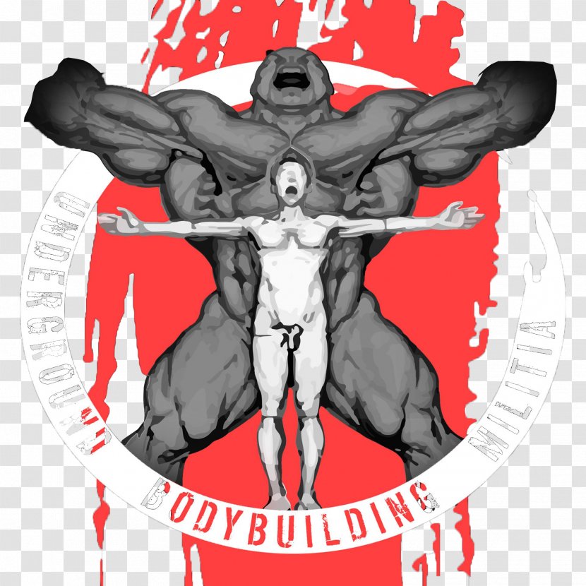 Bodybuilding Latissimus Dorsi Muscle Sports Training Athlete - Heart Transparent PNG