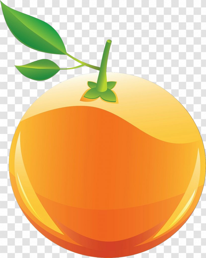 Orange - Food - Mandarin Natural Foods Transparent PNG