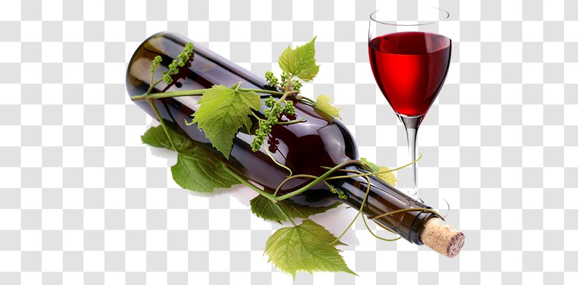 Red Wine Common Grape Vine Bottle Glass - Copa Vino Transparent PNG