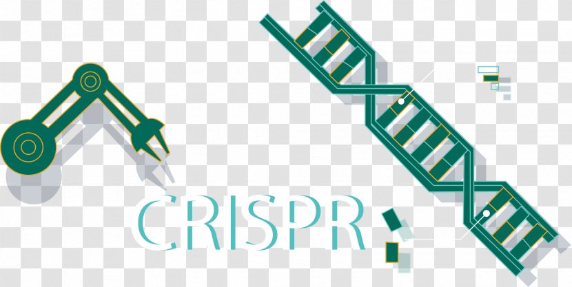 CRISPR Cas9 Genome Editing Do-it-yourself Biology Science - Organization - Crispr Transparent PNG
