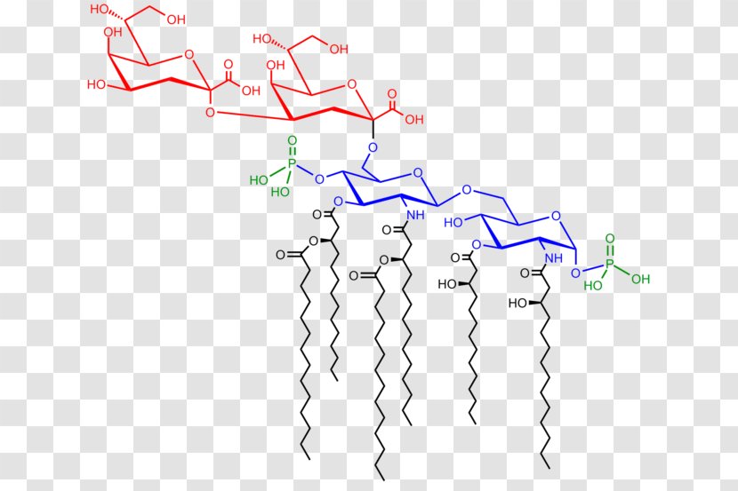 Endotoxin Saccharolipid 3-Deoxy-D-manno-oct-2-ulosonic Acid Lipid A - Diagram - Noncoding Dna Transparent PNG