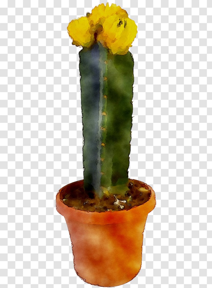 Eastern Prickly Pear Cactus Echinocereus Flower Plant Stem - Caryophyllales Transparent PNG