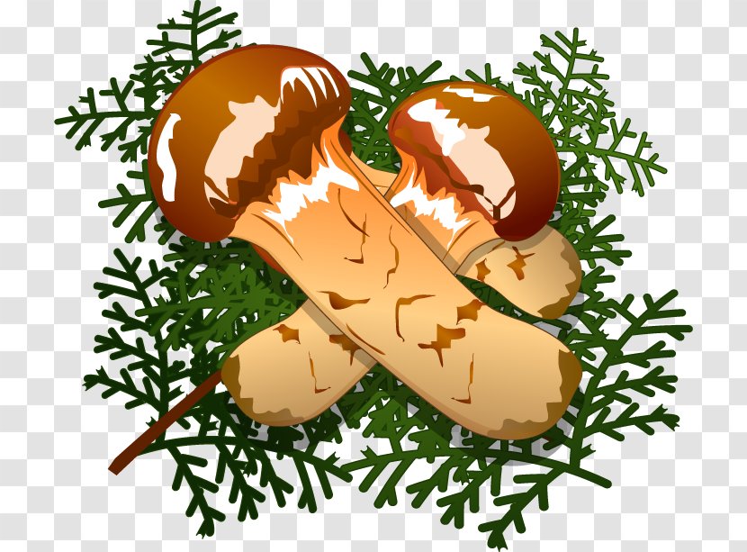 Clip Art Illustration Matsutake - Food - Autumn Posters Transparent PNG