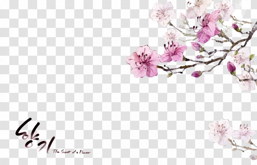 Flower Clip Art - Arranging - Romantic Transparent PNG
