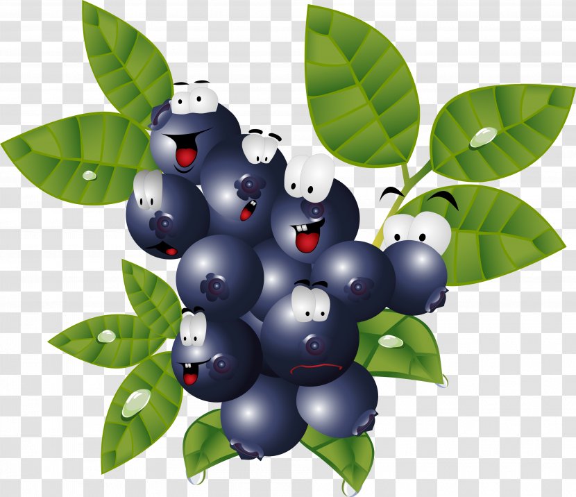 Caricature Food Blueberry - Photography - Berries Transparent PNG