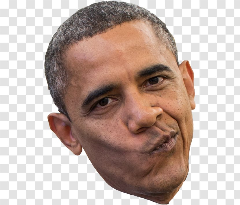 Barack Obama 2013 Presidential Inauguration White House Clip Art - United States Transparent PNG